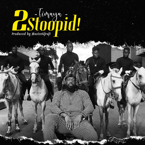 Timaya - 2 Stoopid